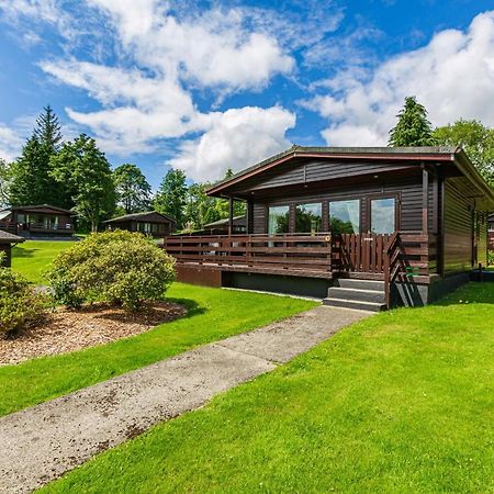 Bluebell Lodge 9 With Hot Tub Нютън Стюарт Екстериор снимка