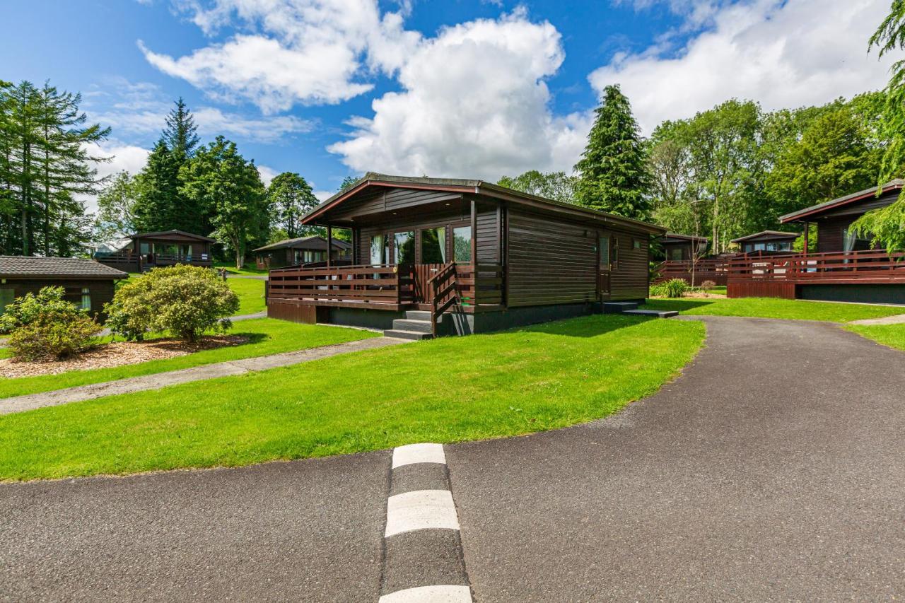 Bluebell Lodge 9 With Hot Tub Нютън Стюарт Екстериор снимка